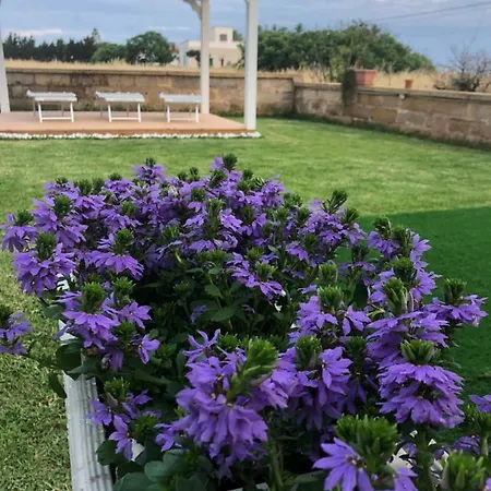 Villa Rosa Zona Torre San Giovanni *