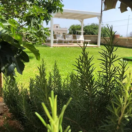 Rosa Zona توري سان جيوفاني أوغينتو